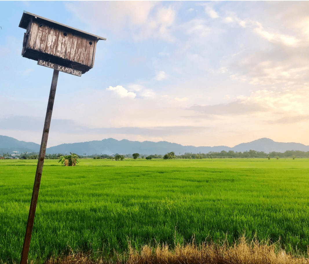 Farming Land